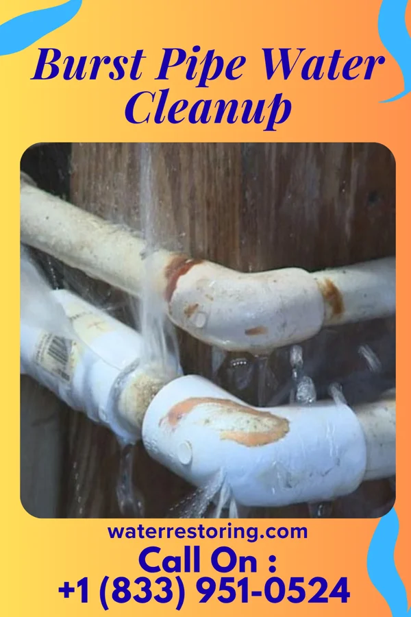 Burst Pipe Water Cleanup in Marion Center, MA