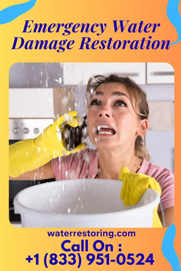 Emergency Water Damage Restoration in Marion Center, MA