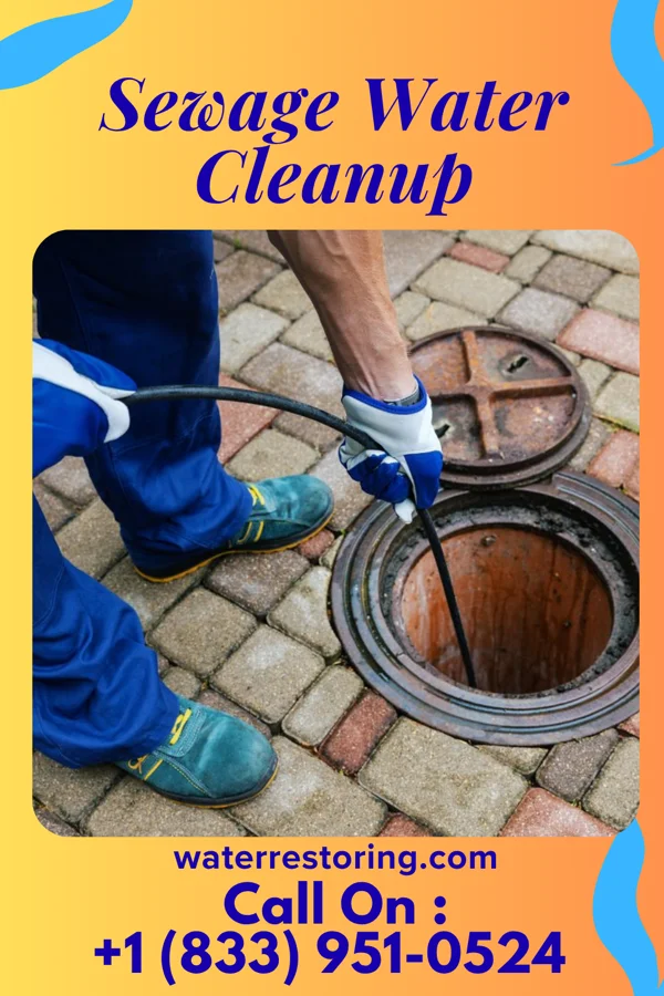 Sewage Water Cleanup in Marion Center, MA