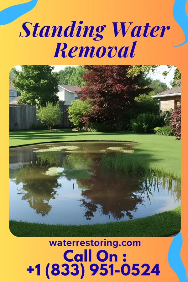 Standing Water Removal in Marion Center, MA